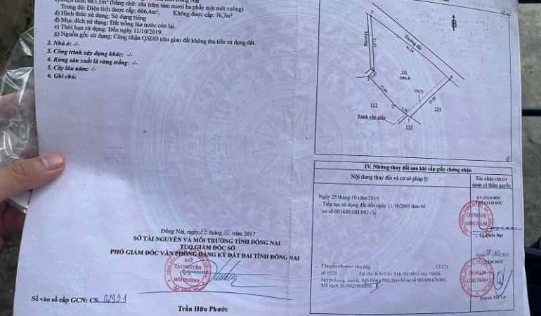 Đất trồng lúa nước long thành 683m2 (1)