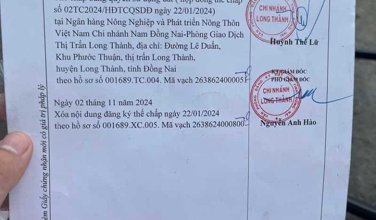 Đất trồng lúa nước long thành 683m2 (2)