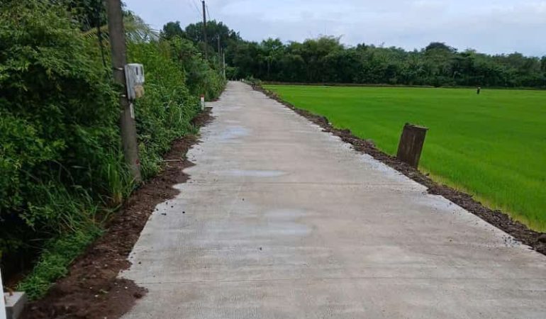 Đất trồng lúa nước long thành 683m2 (3)