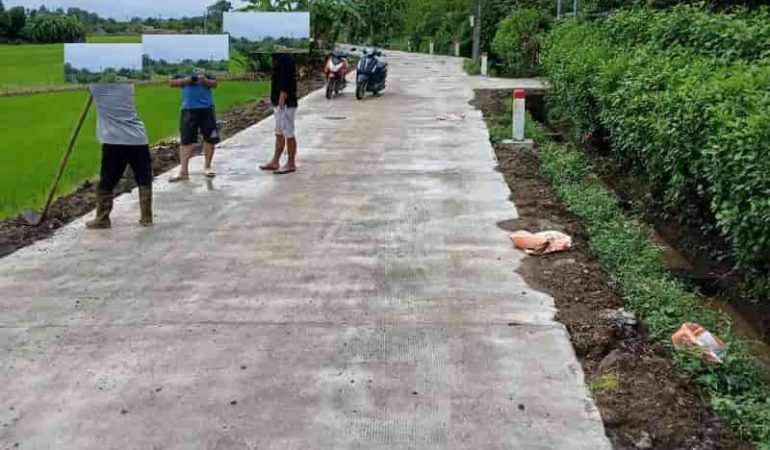 Đất trồng lúa nước long thành 683m2 (4)