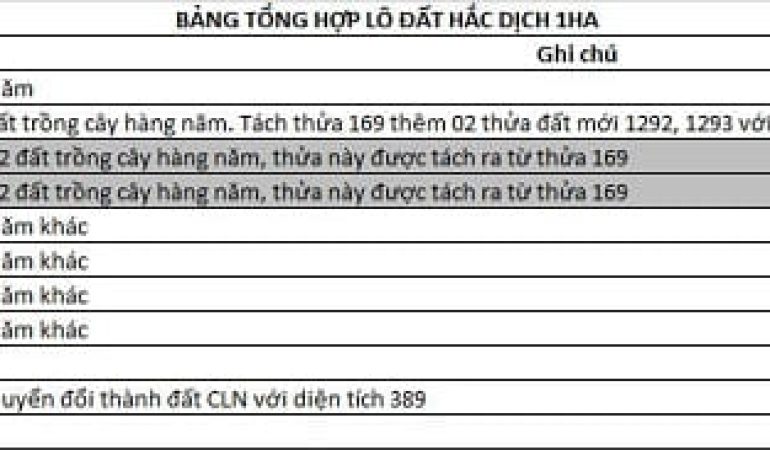 Đất xã hac dich tan thanh ba ria vung tau 1133m2