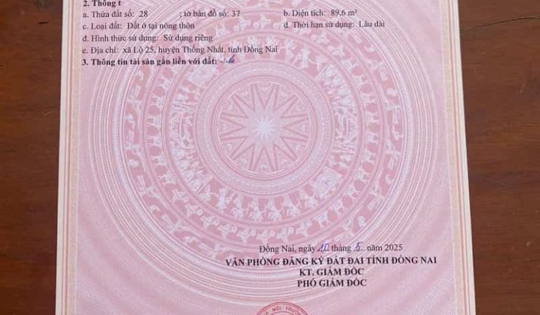 Xa lo 25 thong nhat dong nai 90m2 (5)